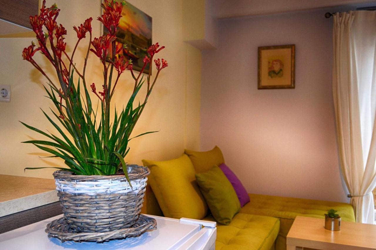 Central Guest Room 奥林匹亚 外观 照片